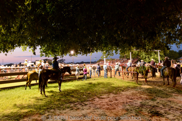 Bandera, TX, USA